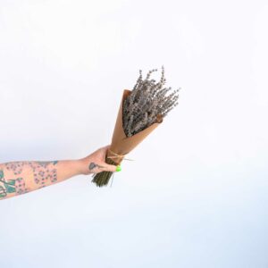 The Dried Lavender