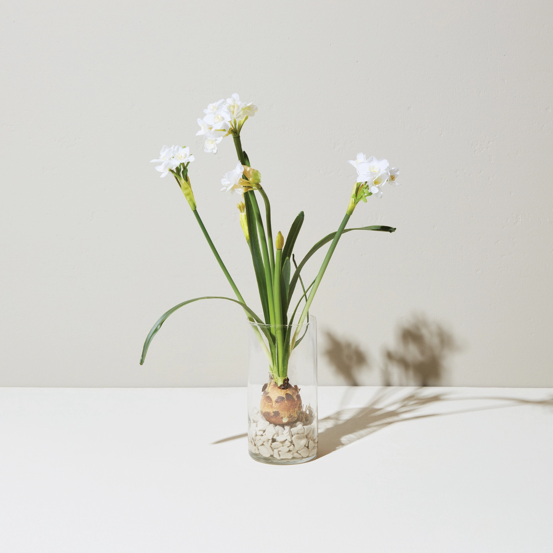 The Winter Bulb Kit - Image 4