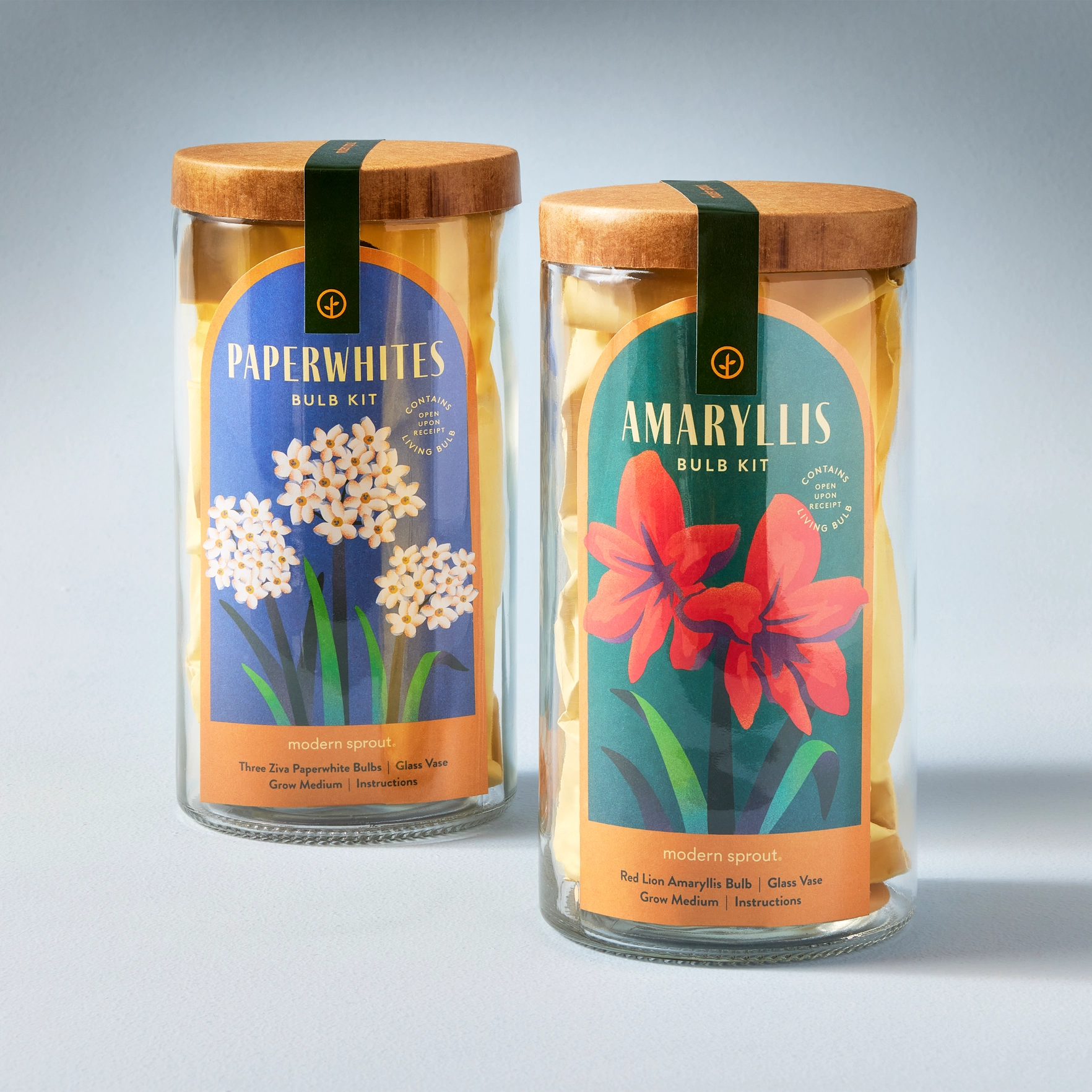 The Winter Bulb Kit